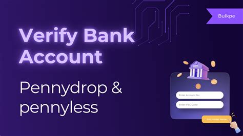 puntit account verification